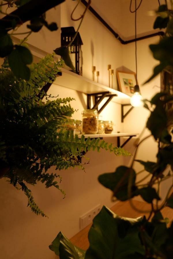 Singer Apartment Old Town Krasków Dış mekan fotoğraf