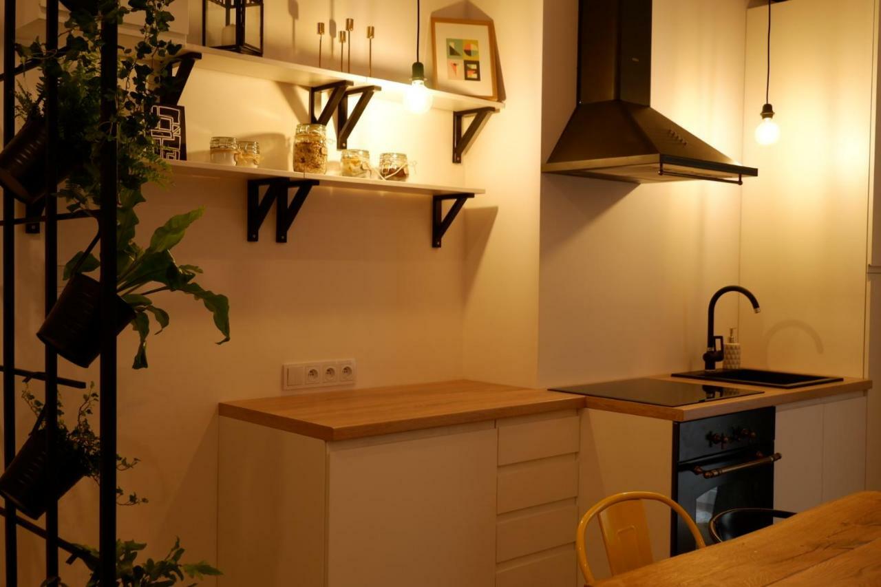 Singer Apartment Old Town Krasków Dış mekan fotoğraf